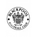 Blackpool FC mirror