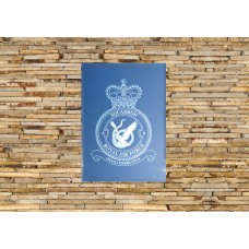 RAF 6 Squadron