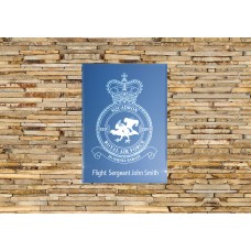 RAF 24 Squadron 